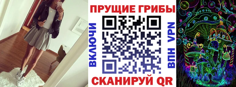 Галлюциногенные грибы Psilocybe  купить наркотики сайты  mega tor  Черепаново 